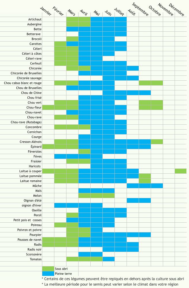 calendrier des semis