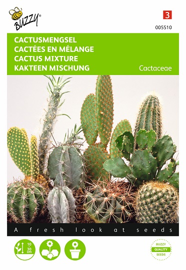 30 graines assortiment de cactus