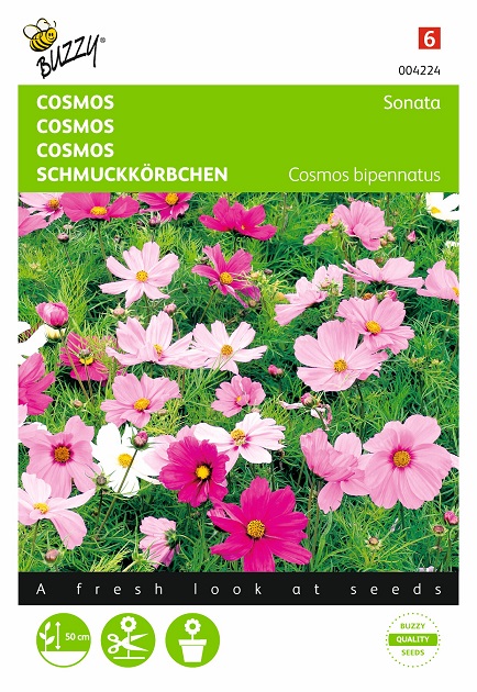 Cosmos - Vente de Graines de Fleurs Chez Grainesdelegumes.fr