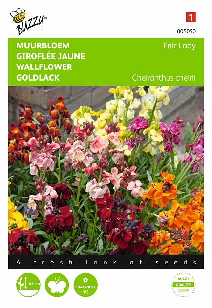 Graines de Giroflée: Vente de Semences de Fleurs En Ligne!