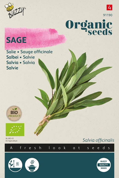 Sauge Officinale