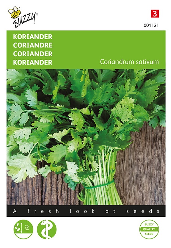 Coriandre fraîche - 100 g - Radix.fr 