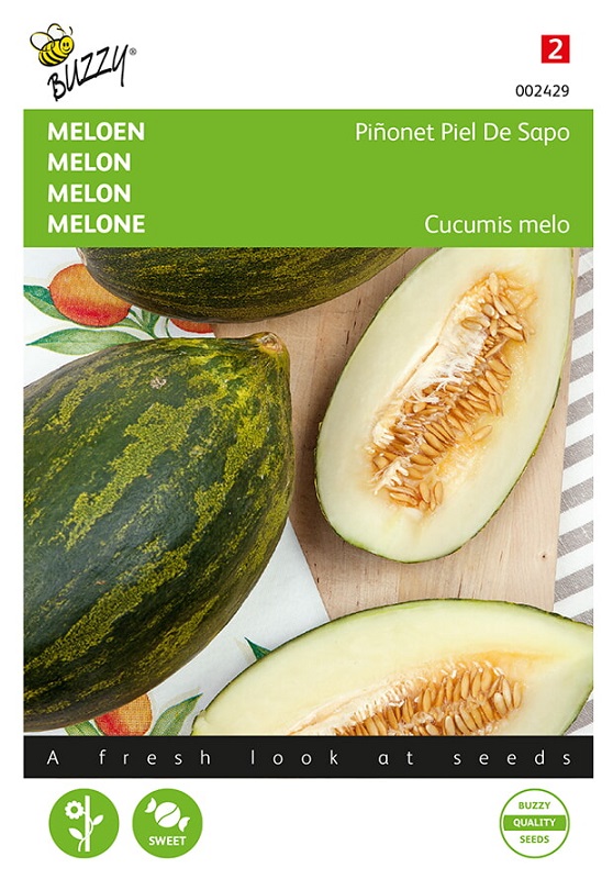 Piel Del Sapo De Melon Juteux Et Sucré Espagnol