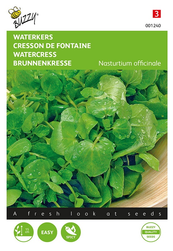 Graines BIO CRESSON A GRANDES FEUILLES - Livraison GRATUITE