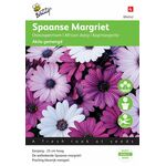 Graines d'Osteospermum Akila Mélangé