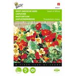 Graines de Capucine Nasturtium