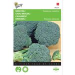 Graines de Chou Brocoli