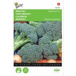 Graines de Brocoli hybride F1