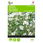 Graines de fleurs Gypsophile Covent Garden Blanc