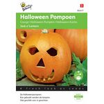 Graines de Courge Halloween