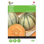 Graines de Melon Charentais