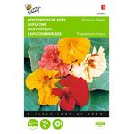 Graines de Capucine Nasturtium