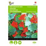 graines de Capucine Nasturtium