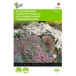 Graines de Fleurs Vivaces Pour Rocaille