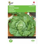 Graines de Laitue Pommée