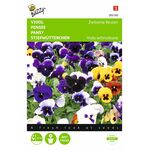 Graines de fleurs Pensée Géante de Suisse