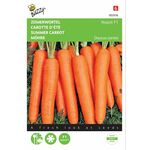 Graines de Carotte d été hybrid F1