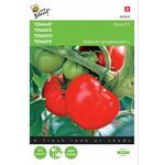 Graines de Tomate Pyros Hybride F1