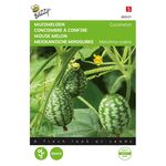 Cucamelon