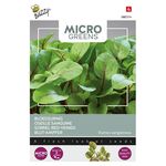 Microgreens Oseille Sanguine