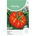 Tomate Maestro Hybride F1