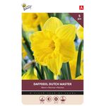 Narcissen bollen Dutch Master 5st.