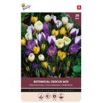Crocus Bulbes à Fleurs Botanical Mixture
