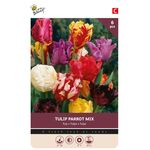 Tulpen bloembollen Parrot Mix