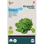 Bio Graines de Épinard 'Grandes Feuilles Précoces'