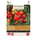 Tomate à Cerise Tomfall
