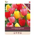 Bulbes de Tulipes 'Darwin Mixture' 25st.