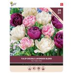 Bulbes de Tulipes 'Double Lavender Blend' 20st