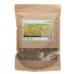 Graines de Seigle Engrais Vert 1kg