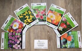 Paquet De Graines De Fleurs Moyennes