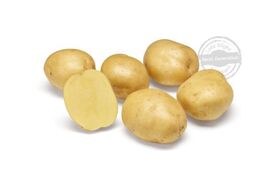 Biologische Pootaardappel Twister 1kg.