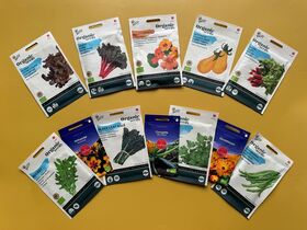 La Fille de Potager Top 12 des Semences Biologiques Préférées