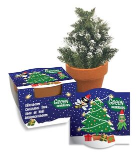 Kestboom Zaden 'Groei Kadootje'