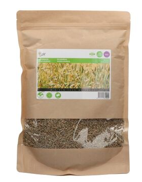 Graines de Seigle Engrais Vert 1kg