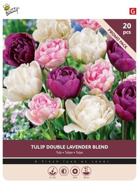 Bulbes de Tulipes 'Double Lavender Blend' 20st