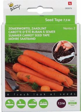 Carotte Graines D'été Ruban à Semer 'Nantes'