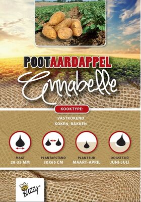 Pootaardappel Annabelle 1Kg