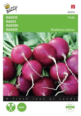 Radijs Paars