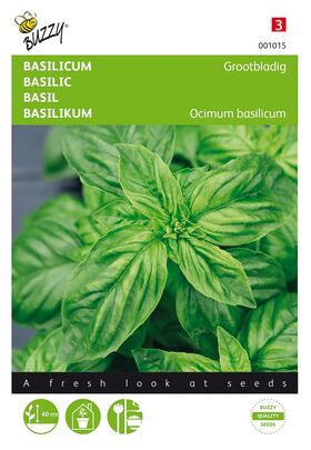 Basilic Grand Vert