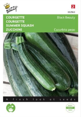 Courgette Verte De Milan