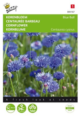 Centaurée Barbeau Blue Ball