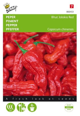 Piment Bhut Jolokia Rouge