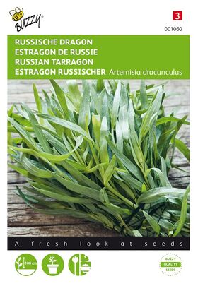 Estragon De Russie