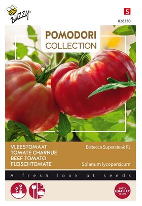 Tomate Pomodori Géante Bistecca F1