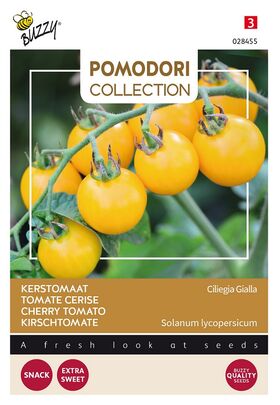 Tomate Pomodori Ciliegia Gialla