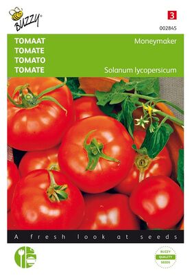 Tomate Moneymaker